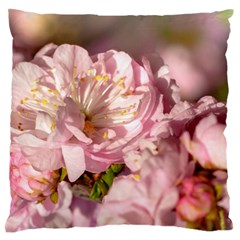 Beautiful Flowering Almond Large Flano Cushion Case (two Sides) by FunnyCow