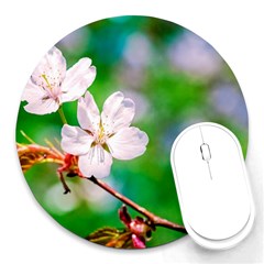 Sakura Flowers On Green Round Mousepads by FunnyCow