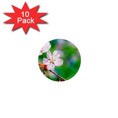 Sakura Flowers On Green 1  Mini Magnet (10 Pack)  by FunnyCow