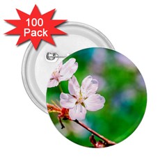 Sakura Flowers On Green 2 25  Buttons (100 Pack)  by FunnyCow