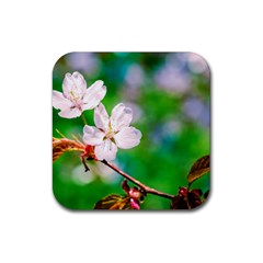 Sakura Flowers On Green Rubber Coaster (square)  by FunnyCow