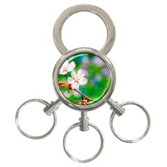 Sakura Flowers On Green 3-ring Key Chains by FunnyCow