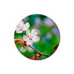 Sakura Flowers On Green Rubber Round Coaster (4 pack)  Front