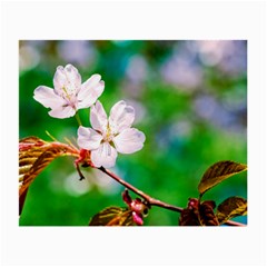 Sakura Flowers On Green Small Glasses Cloth by FunnyCow