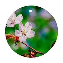 Sakura Flowers On Green Round Ornament (two Sides) by FunnyCow