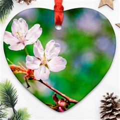 Sakura Flowers On Green Heart Ornament (two Sides) by FunnyCow