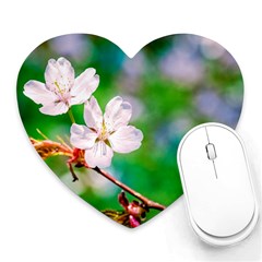 Sakura Flowers On Green Heart Mousepads by FunnyCow