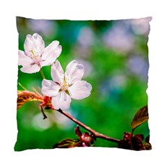 Sakura Flowers On Green Standard Cushion Case (one Side) by FunnyCow