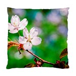 Sakura Flowers On Green Standard Cushion Case (One Side) Front