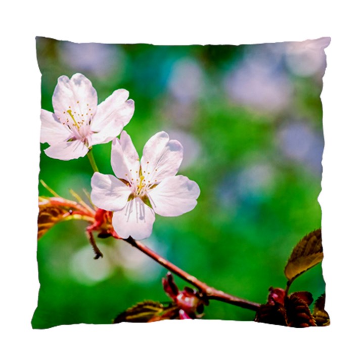 Sakura Flowers On Green Standard Cushion Case (One Side)