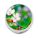 Sakura Flowers On Green 4-Port USB Hub (One Side) Front