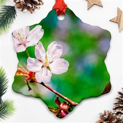 Sakura Flowers On Green Ornament (snowflake) by FunnyCow