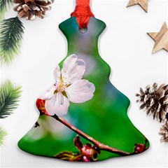 Sakura Flowers On Green Christmas Tree Ornament (two Sides) by FunnyCow