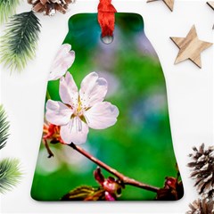 Sakura Flowers On Green Bell Ornament (two Sides) by FunnyCow