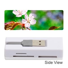 Sakura Flowers On Green Memory Card Reader (stick) by FunnyCow