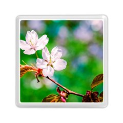 Sakura Flowers On Green Memory Card Reader (square) by FunnyCow