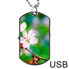 Sakura Flowers On Green Dog Tag Usb Flash (two Sides) by FunnyCow