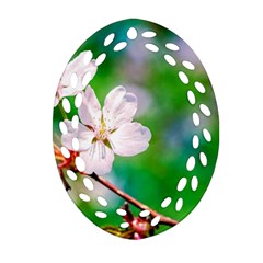 Sakura Flowers On Green Oval Filigree Ornament (two Sides) by FunnyCow