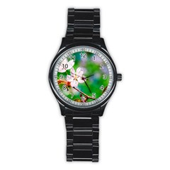 Sakura Flowers On Green Stainless Steel Round Watch by FunnyCow