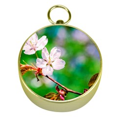 Sakura Flowers On Green Gold Compasses by FunnyCow