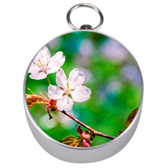 Sakura Flowers On Green Silver Compasses by FunnyCow