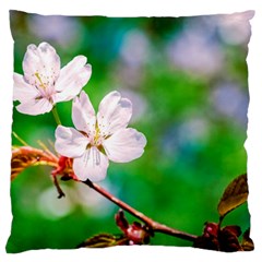 Sakura Flowers On Green Standard Flano Cushion Case (one Side) by FunnyCow