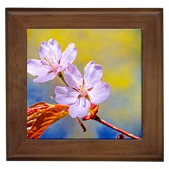 Sakura Flowers On Yellow Framed Tiles by FunnyCow