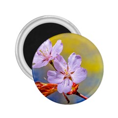 Sakura Flowers On Yellow 2 25  Magnets by FunnyCow