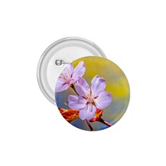 Sakura Flowers On Yellow 1 75  Buttons by FunnyCow