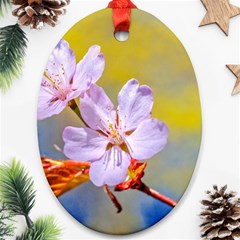 Sakura Flowers On Yellow Ornament (oval) by FunnyCow