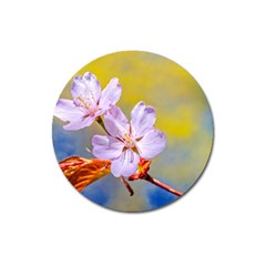 Sakura Flowers On Yellow Magnet 3  (round) by FunnyCow