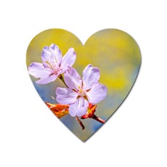 Sakura Flowers On Yellow Heart Magnet by FunnyCow