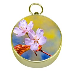 Sakura Flowers On Yellow Gold Compasses by FunnyCow