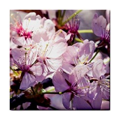 Sakura In The Shade Tile Coasters by FunnyCow