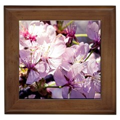 Sakura In The Shade Framed Tiles by FunnyCow