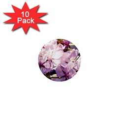 Sakura In The Shade 1  Mini Magnet (10 Pack)  by FunnyCow