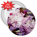 Sakura In The Shade 3  Buttons (100 pack)  Front