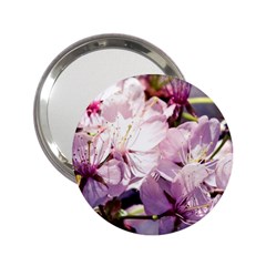 Sakura In The Shade 2 25  Handbag Mirrors by FunnyCow