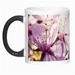 Sakura In The Shade Morph Mugs Left