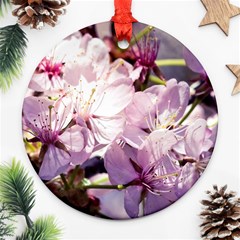 Sakura In The Shade Round Ornament (two Sides) by FunnyCow