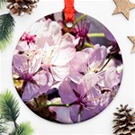 Sakura In The Shade Round Ornament (Two Sides) Back