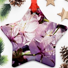 Sakura In The Shade Star Ornament (two Sides) by FunnyCow