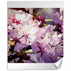 Sakura In The Shade Canvas 16  X 20   by FunnyCow