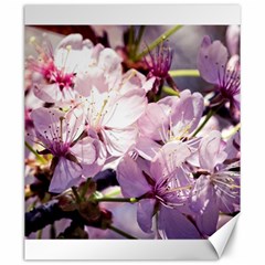 Sakura In The Shade Canvas 20  X 24   by FunnyCow