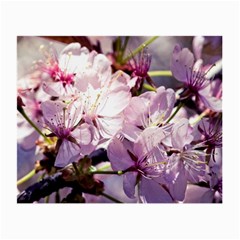 Sakura In The Shade Small Glasses Cloth (2-side) by FunnyCow