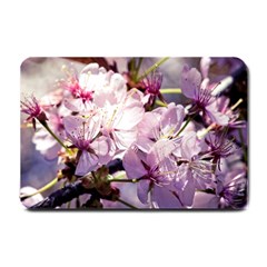 Sakura In The Shade Small Doormat  by FunnyCow