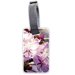 Sakura In The Shade Luggage Tags (one Side)  by FunnyCow