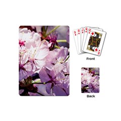 Sakura In The Shade Playing Cards (mini)  by FunnyCow