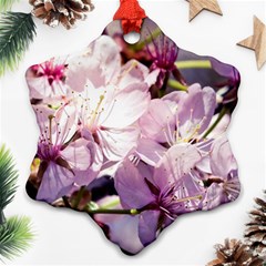 Sakura In The Shade Ornament (snowflake) by FunnyCow