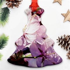 Sakura In The Shade Christmas Tree Ornament (two Sides) by FunnyCow